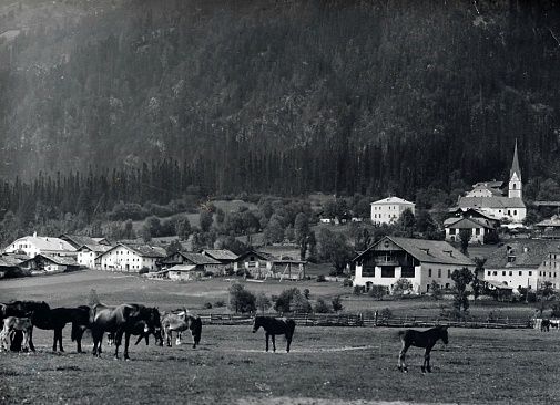 Eine ruhige Schwarz-Weiß-Landschaft mit grasenden Pferden auf einer Wiese in der Nähe des Dorfes Nikolsdorf